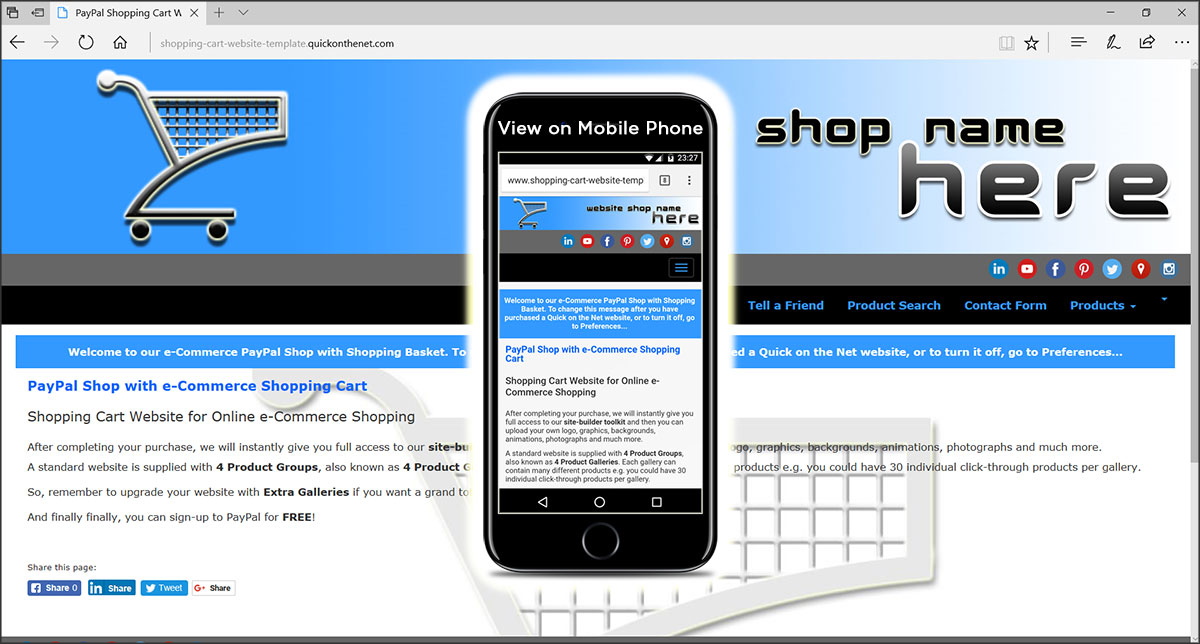 shopping-cart-website-template-paypal-store-website-design