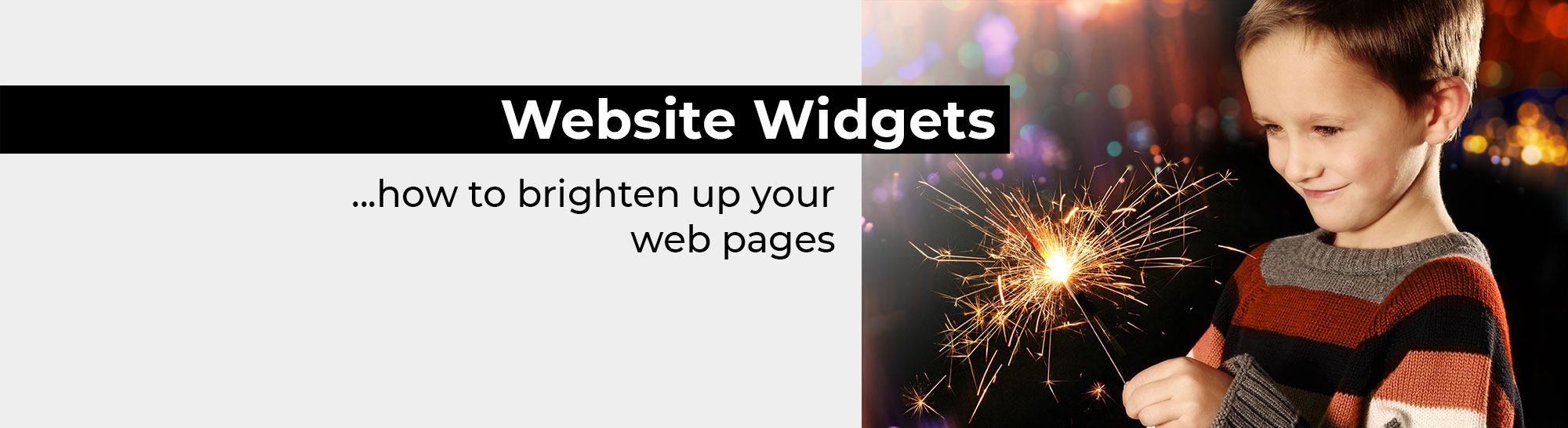 Website Widgets