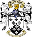 The McTigue Family Coat of Arms