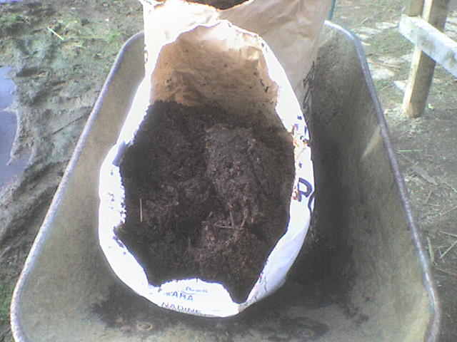 SHETLAND PONY MANURE/COMPOST