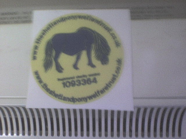 THIS IS OUR YELLOW CAR STICKER WITH A BLUE PONY