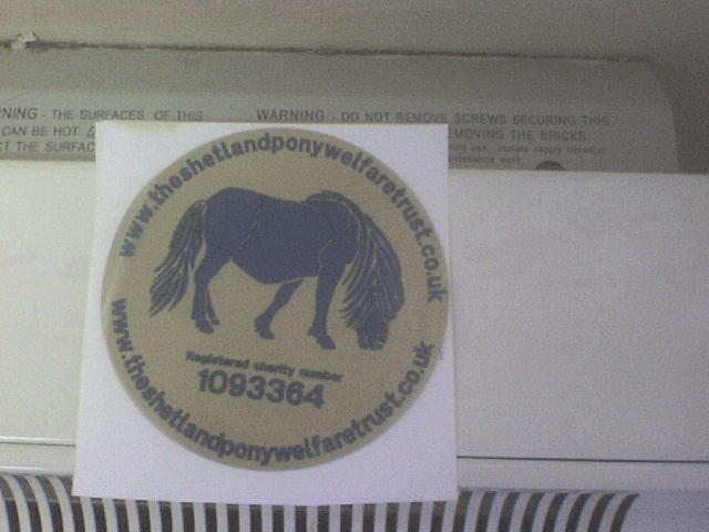 THIS IS OUR BLUE PONY ON GOLD BACKGROUND STICKER