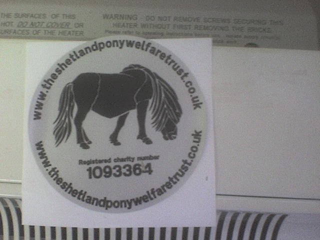 THIS IS OUR SILVER CAR STICKER WITH A BLACK PONY