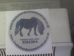 THIS IS OUR SILVER STICKER WITH A BLUE  PONY