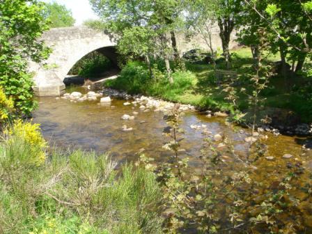 River Nethy behind Derraid