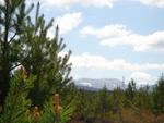 The Cairngorm Mountains & Forests